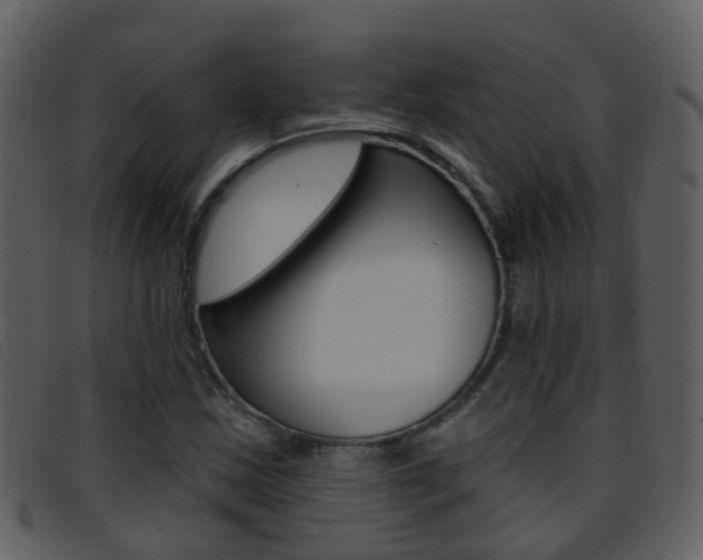 X0000096661163200802050950