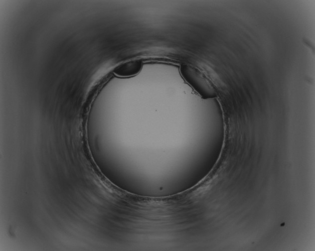 X0000096661164200802050950
