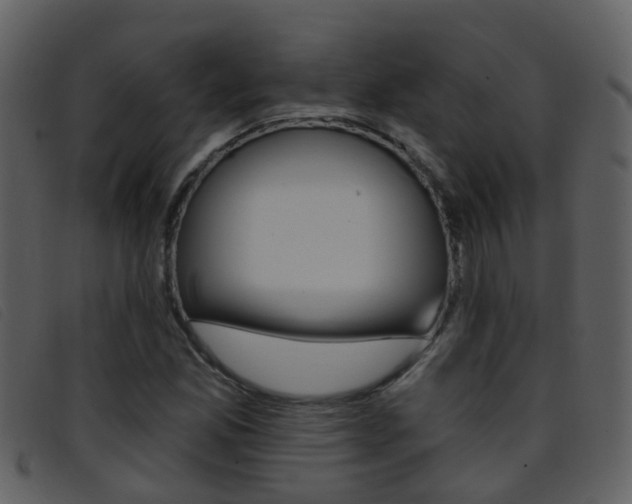X0000096661165200802050950