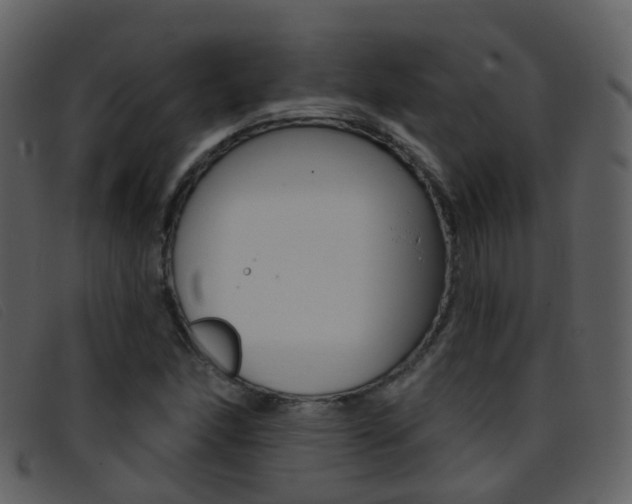 X0000096661166200802050950