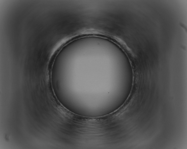 X0000096661167200802050950