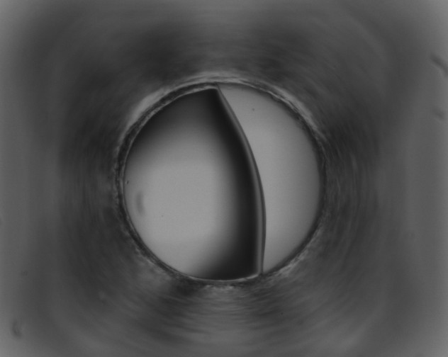 X0000096661168200802050950
