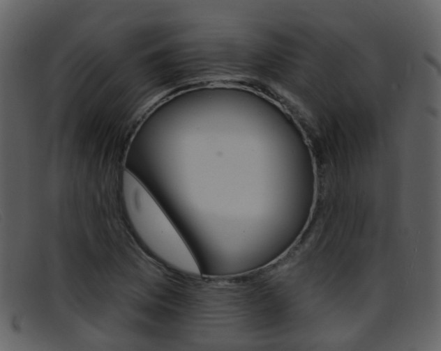 X0000096661169200802050950