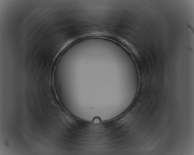 X0000096661170200802050950