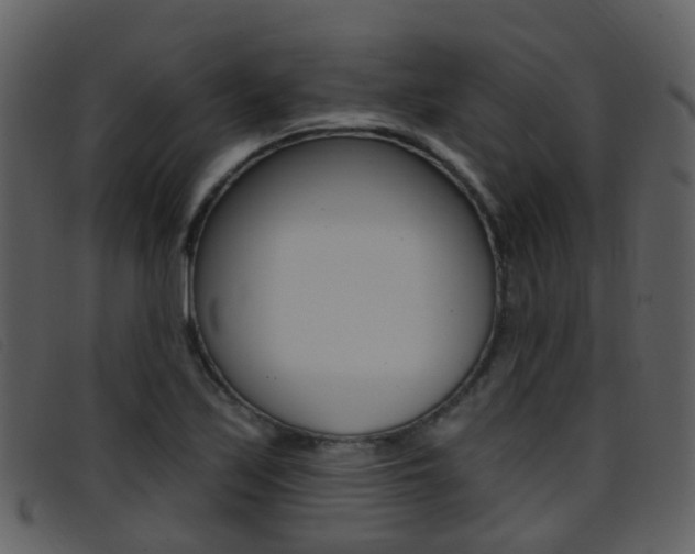 X0000096661171200802050950