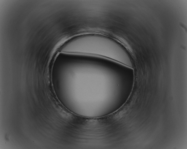 X0000096661172200802050950