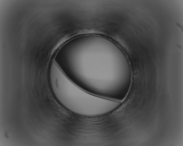 X0000096661173200802050949