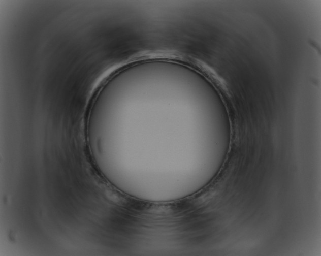 X0000096661174200802050949