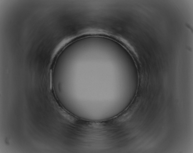X0000096661175200802050949