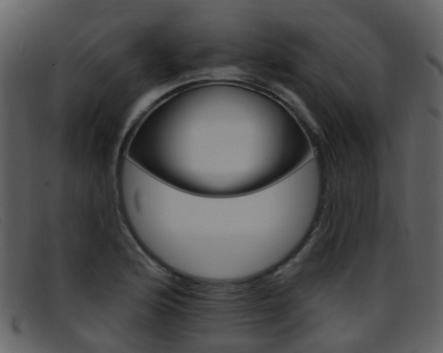 X0000096661176200802050949