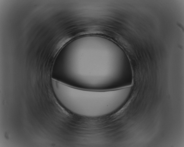 X0000096661177200802050949