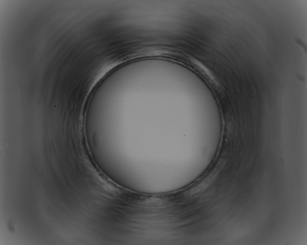 X0000096661178200802050949