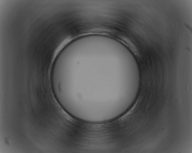 X0000096661180200802050949