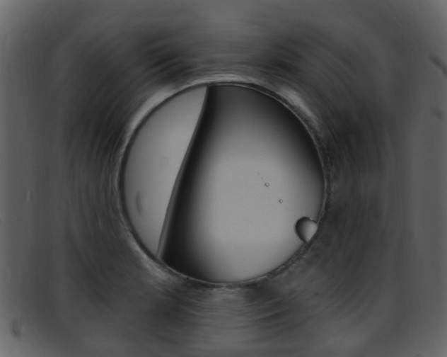 X0000096661181200802050949