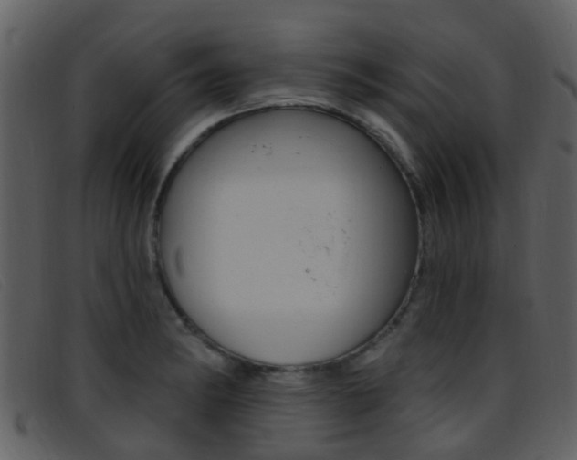 X0000096661182200802050949