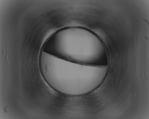 X0000096661183200802050949