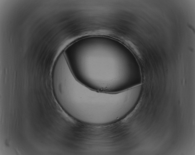 X0000096661184200802050949