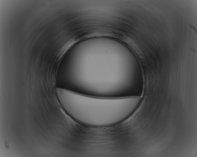X0000096661185200802050949