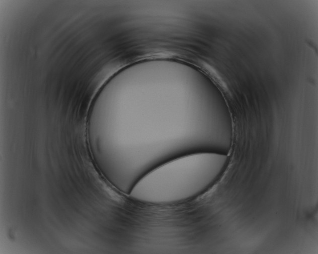 X0000096661186200802050949