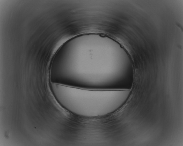 X0000096661187200802050949