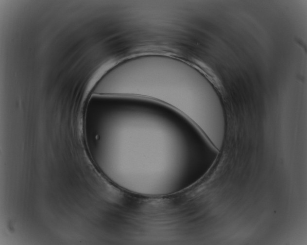 X0000096661188200802050949