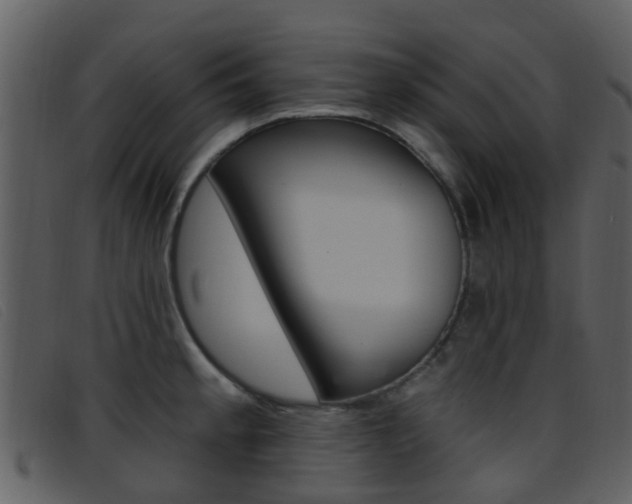X0000096661189200802050949