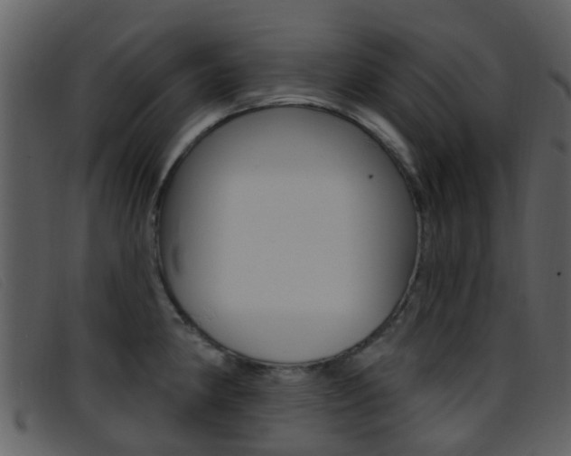 X0000096661190200802050949