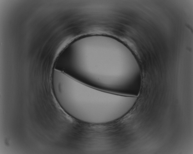 X0000096661191200802050949