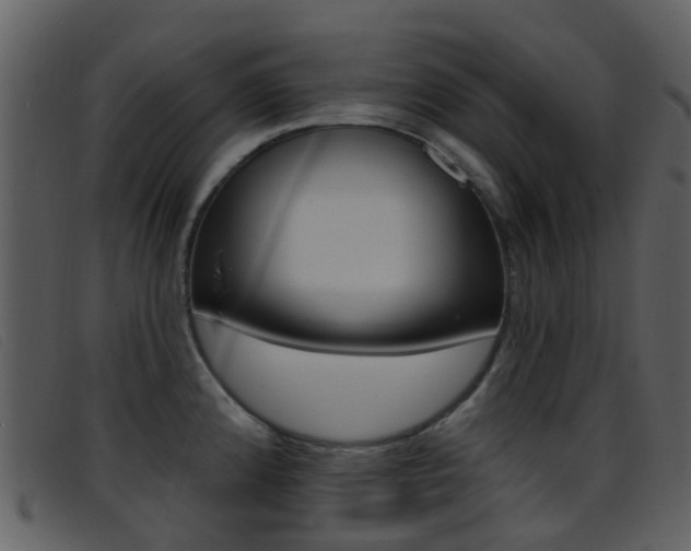 X0000096661192200802050949