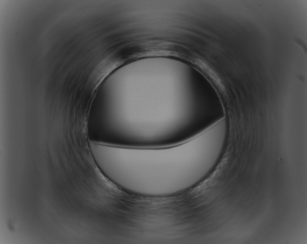 X0000096661193200802050949