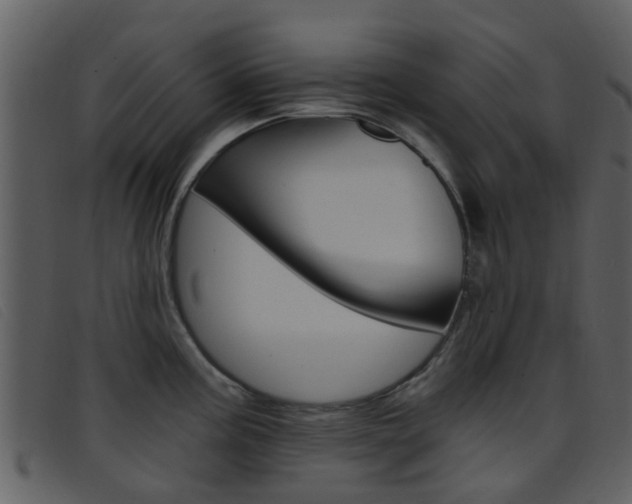 X0000096661195200802050949