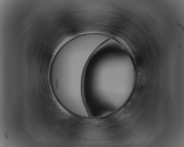 X0000096661197200802050949