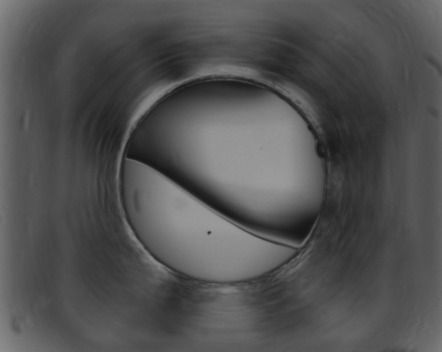 X0000096661199200802050949