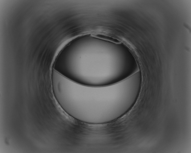 X0000096661200200802050949