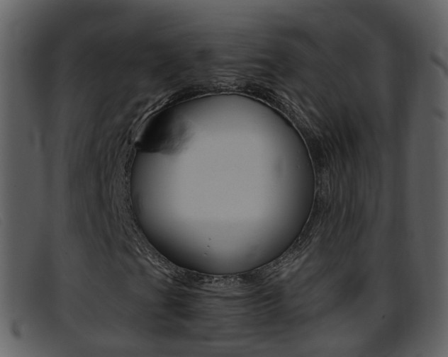 X0000096661201200802050948