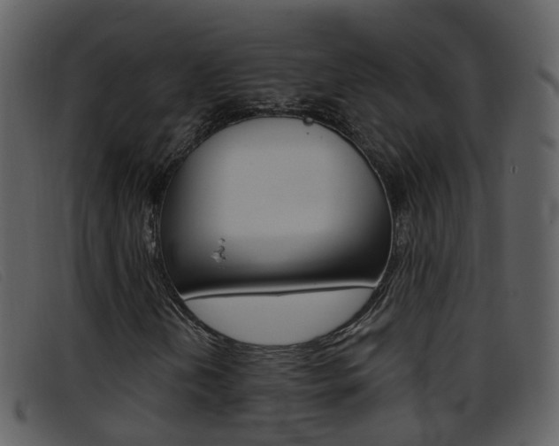 X0000096661202200802050948
