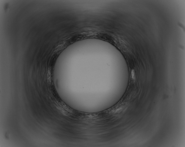 X0000096661203200802050949