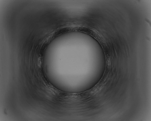 X0000096661204200802050949