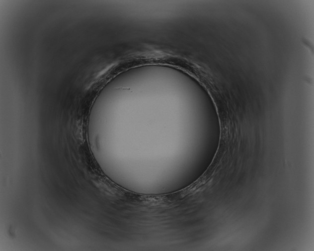 X0000096661205200802050949