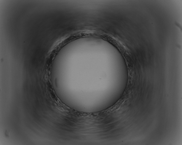 X0000096661207200802050949