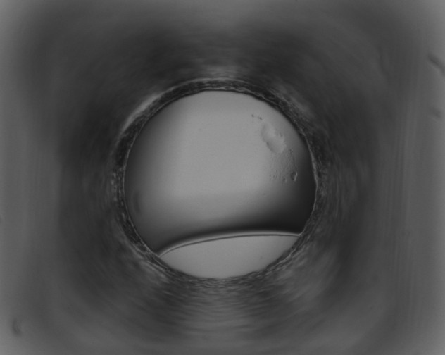 X0000096661208200802050949