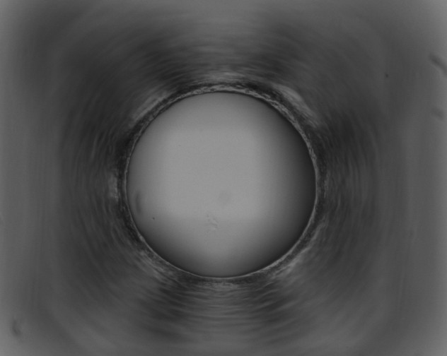 X0000096661209200802050949