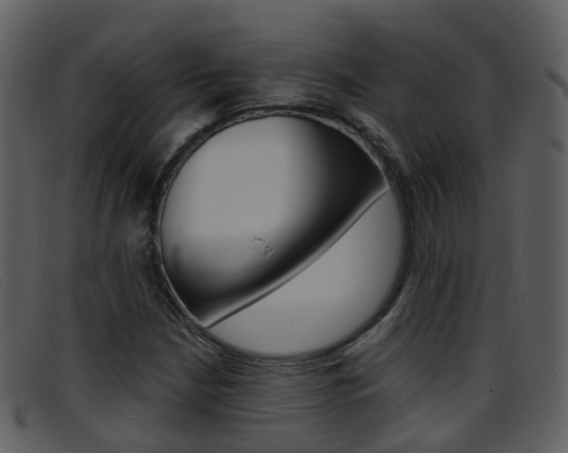 X0000096661210200802050949