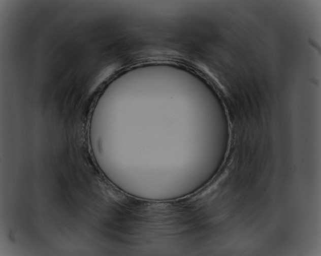 X0000096661211200802050949