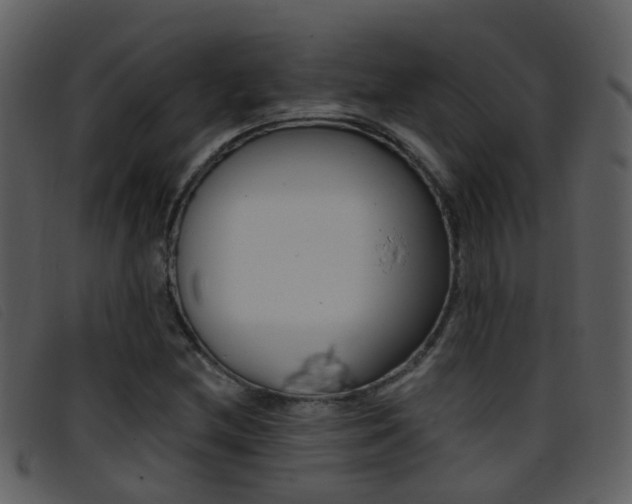 X0000096661212200802050949