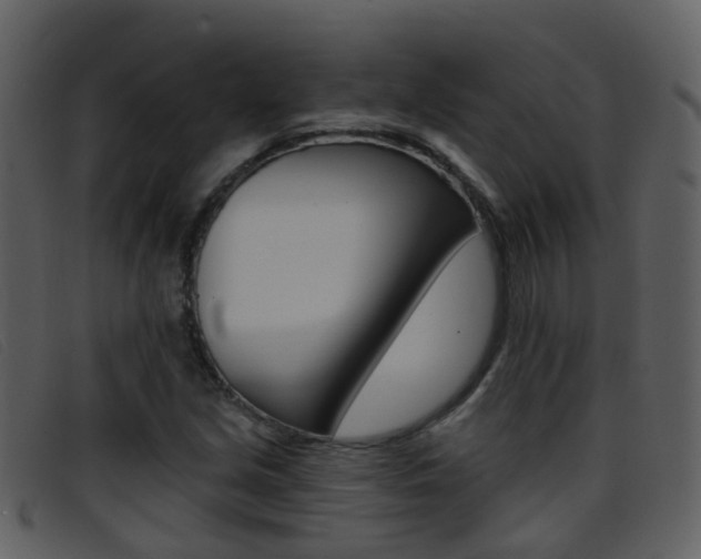 X0000096661213200802050949