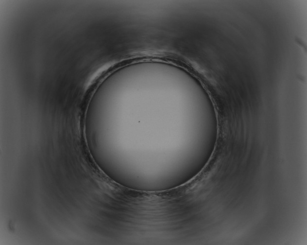 X0000096661214200802050949