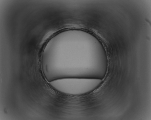 X0000096661215200802050949