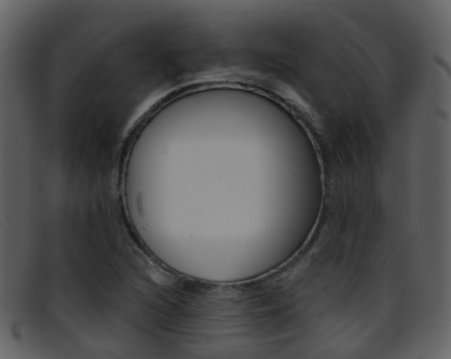 X0000096661216200802050949