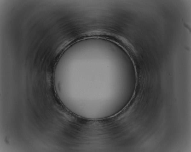 X0000096661217200802050949